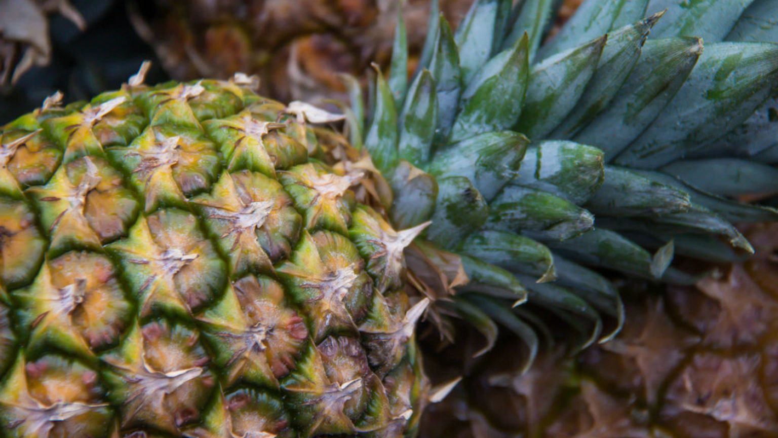 pineapple