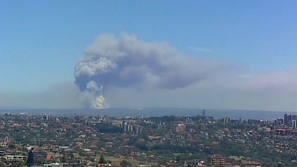 Australia: due incendi boschivi alle porte di Sydney Australia: due incendi boschivi alle porte di Sydney