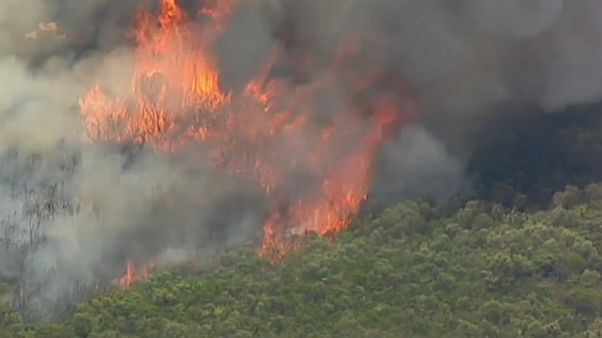 Le sud de Sydney en proie aux flammes Le sud de Sydney en proie aux flammes