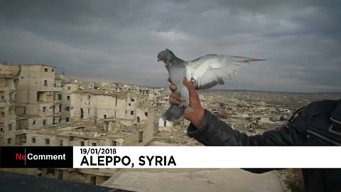 Las palomas vuelven a Alepo
