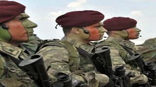 مجموعة من جنود القوات الخاصة بالجيش التركي (الأناضول)