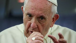 Pope Francis apologises to sexual abuse victims
