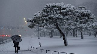 Токио завалило снегом