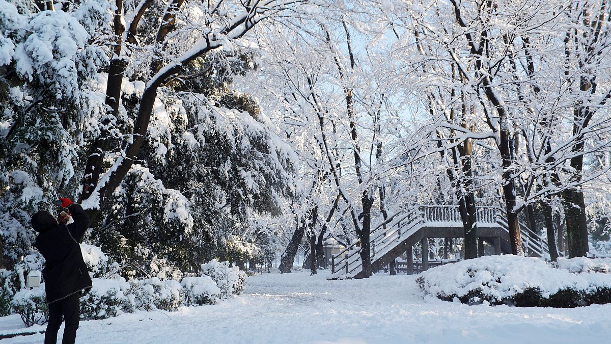 Maltempo in Giappone: Tokyo ricoperta da un manto nevoso