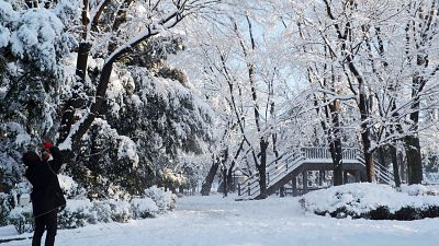 Maltempo in Giappone: Tokyo ricoperta da un manto nevoso
