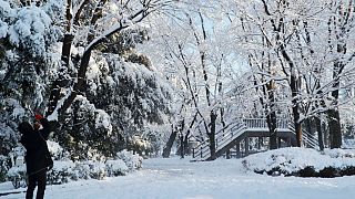 Χιονοθύελλα σάρωσε το Τόκιο