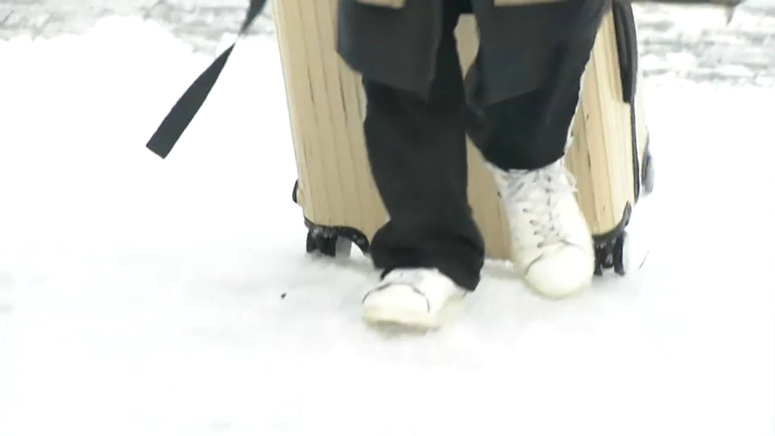 Tokio im Schnee