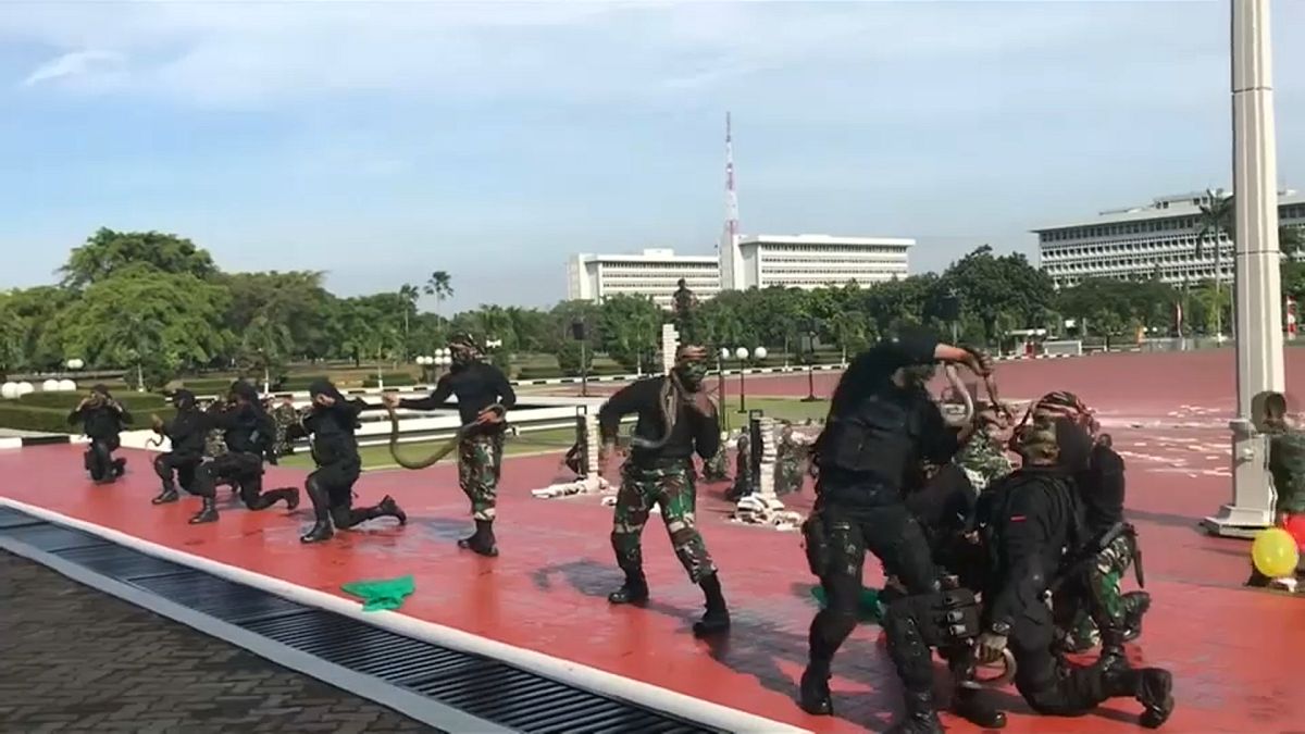 Ινδονησία: Στρατιώτες ήπιαν αίμα φιδιού και έσπασαν τούβλα με το κεφάλι τους!