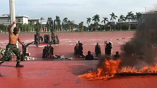 شاهد: جنود إندونيسيون يشربون دماء الأفاعي ويمشون حفاة على النار