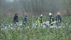 Luftunfall von Sportflugzeug und Hubschrauber 