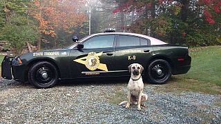 جمعية كلاب شرطة نيو هامبشاير - فيسبوك