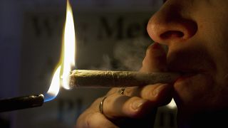 Zahlen Frankreichs 1,4 Millionen Cannabis-Konsumenten bald nur Bußgeld?