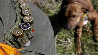 كلب صيد يقتل صاحبه بإطلاق النار عليه دون قصد في روسيا