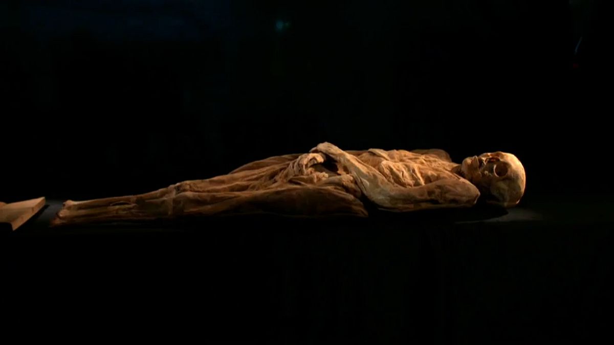 Найден мумифицированный предок Джонсона