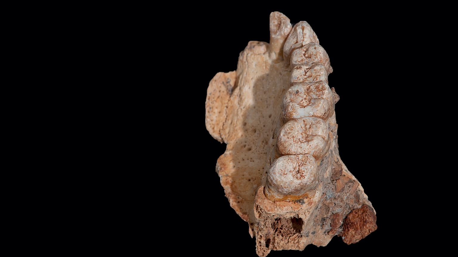 Homo Sapiens δεκάδων χιλιάδων ετών, και η μετανάστευση από την Αφρική