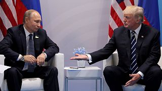 Donald Trump meets Vladimir Putin at the G20 summit (July 7, 2017)