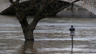 Chuvas torrenciais provocam cheias em Paris e Lyon