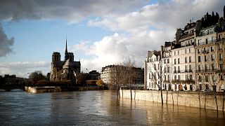 Flood of Seine River 