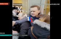 Navalny released after arrest in Moscow rally