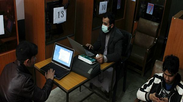 عکس از نیلوفر نیکپور عکس از نیلوفر نیکپور