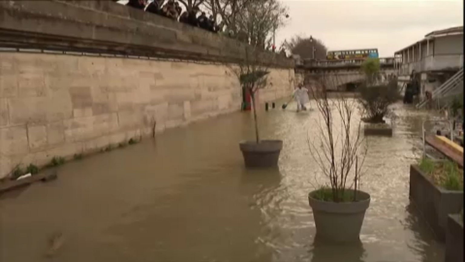 seine
