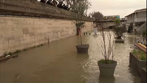 seine