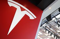 Naponta 100 millió forintos hasznot hoz a Tesla mega-akkumulátor mezője
