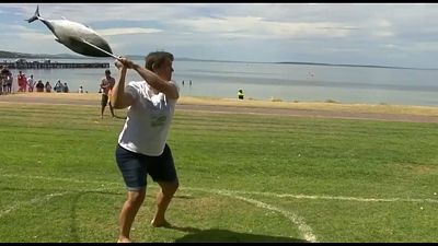 Lancer de thon en Australie