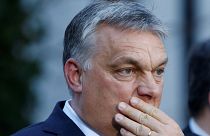 Orban bei Kurz: Treffen mit Konfliktpotenzial