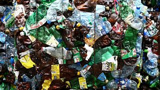Europäer produzieren jährlich 480 Kilo Müll pro Kopf