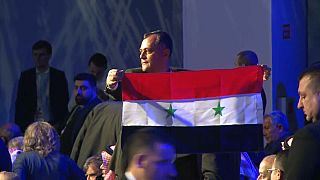 Syrian delegate unfurls Syrian flag at peace talks in Sochi