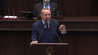 Erdoğan: ÖSO, Kuva-yi Milliye güçleri gibi bir sivil oluşum