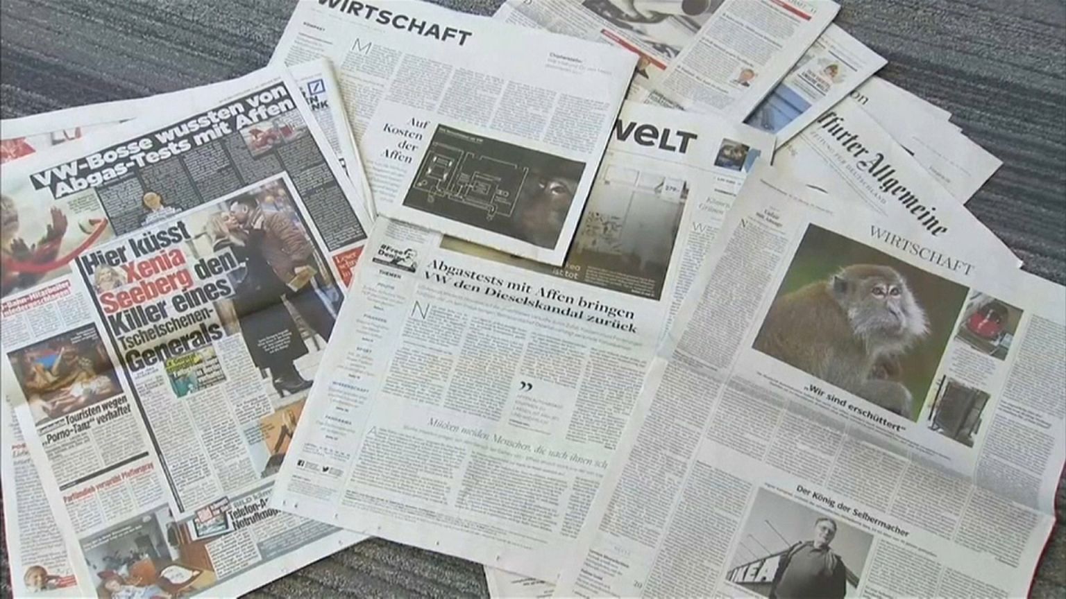 Volkswagen afastou porta-voz por causa dos testes com macacos e humanos