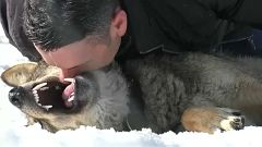 Kosovo: Ein Wolf namens Trump