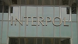 Interpol: 50 combattenti dell'Isis sbarcati in Italia, la polizia smentisce