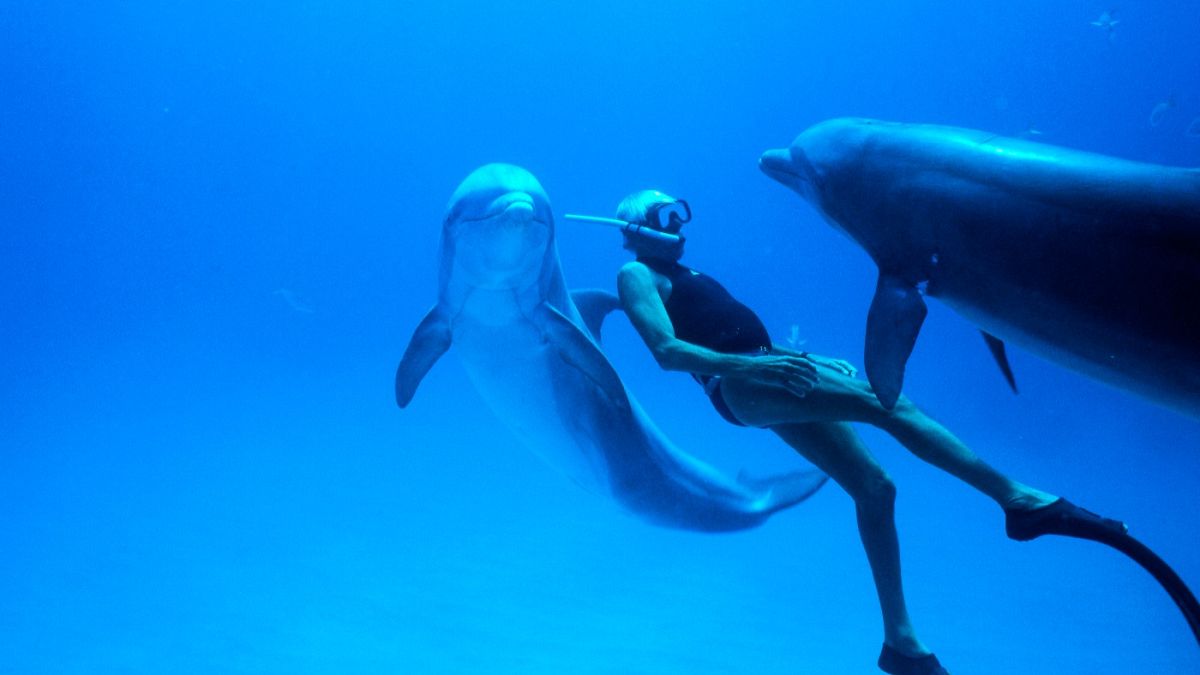Ο «Dolphin Man» του «Απέραντου Γαλάζιου»