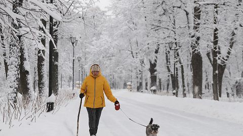 REUTERS/Maxim Shemetov