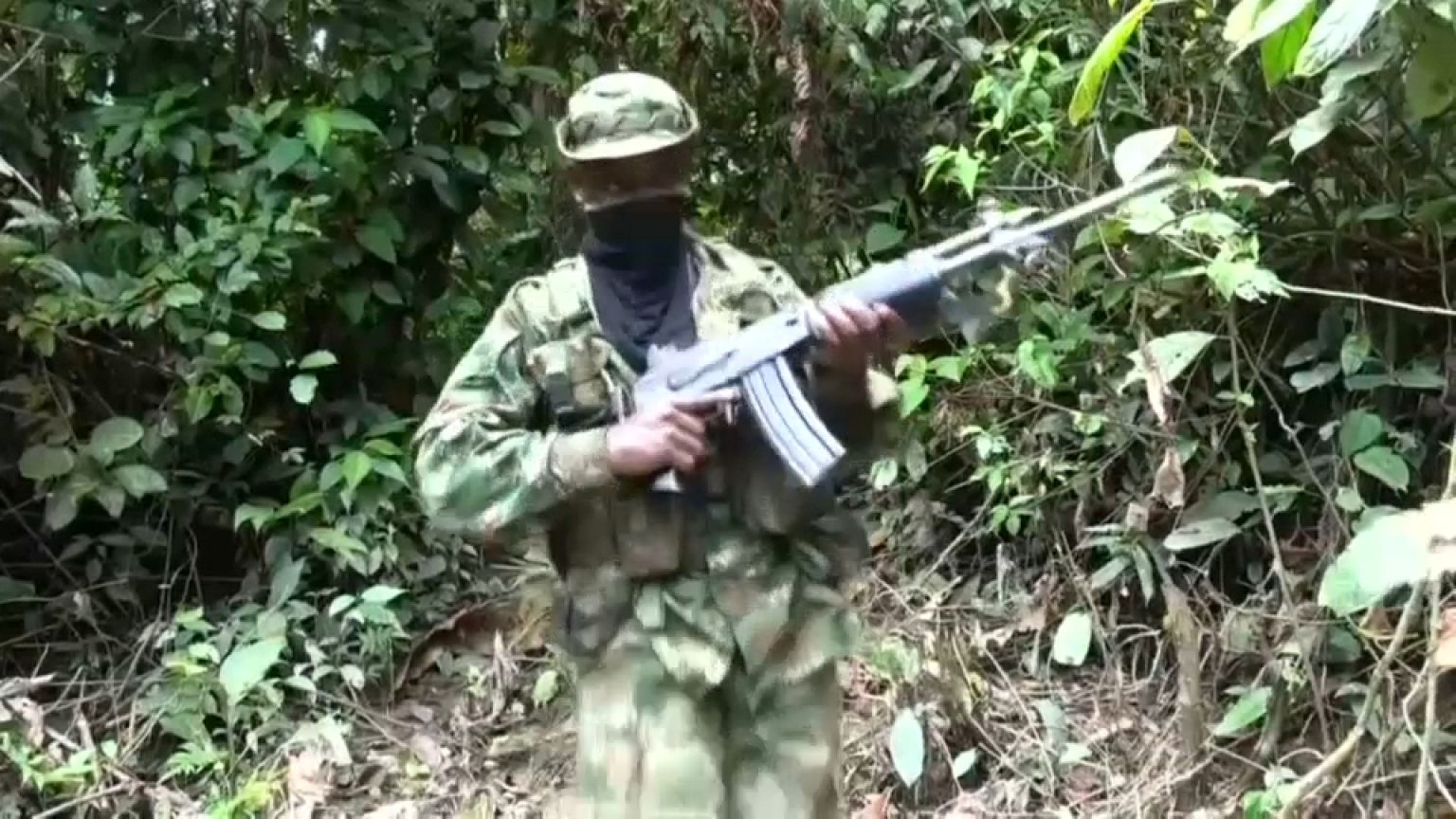 Eln arruola ragazzini venezuelani dice ong