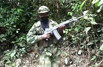 Eln arruola ragazzini venezuelani dice ong