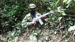 Eln arruola ragazzini venezuelani dice ong