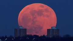 So schön war der Blut-Blau-Super-Mond