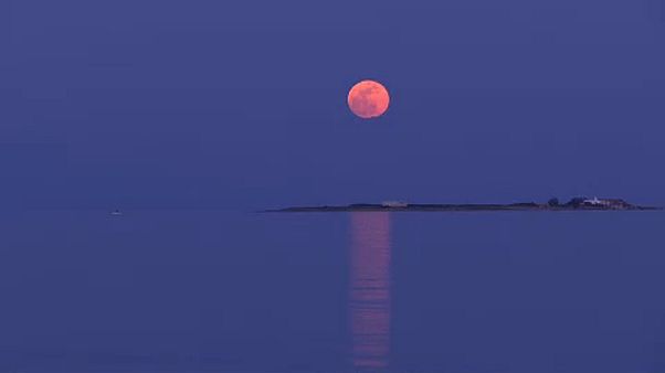 Mundo em suspenso para ver Super-Lua Azul de Sangue Mundo em suspenso para ver Super-Lua Azul de Sangue