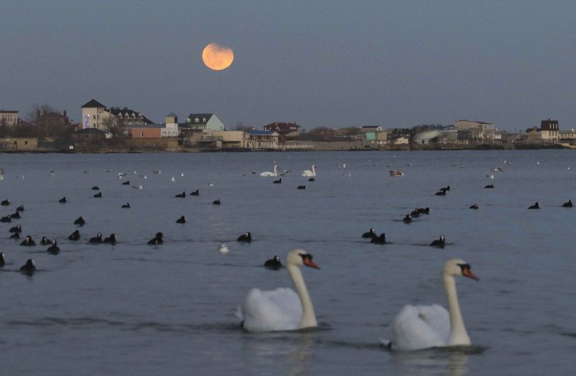 Der Mond über der Krim