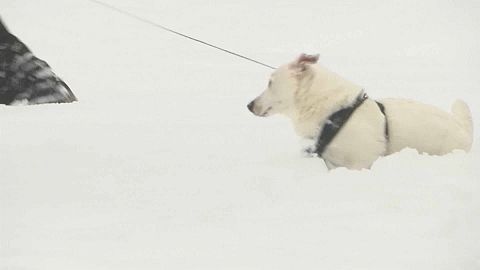 Schnee in Moskau bei -8 Grad