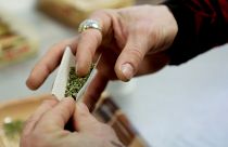 Estudio revela los precios del cannabis a nivel mundial