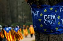 Less than half of EU countries are 'fully democratic': report
