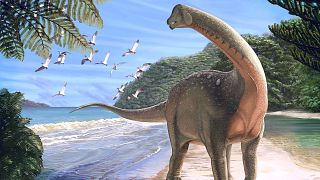 اكتشاف الديناصور "منصوراصورس" في مصر