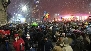 Demonstrators came out in the snow to protest the new laws