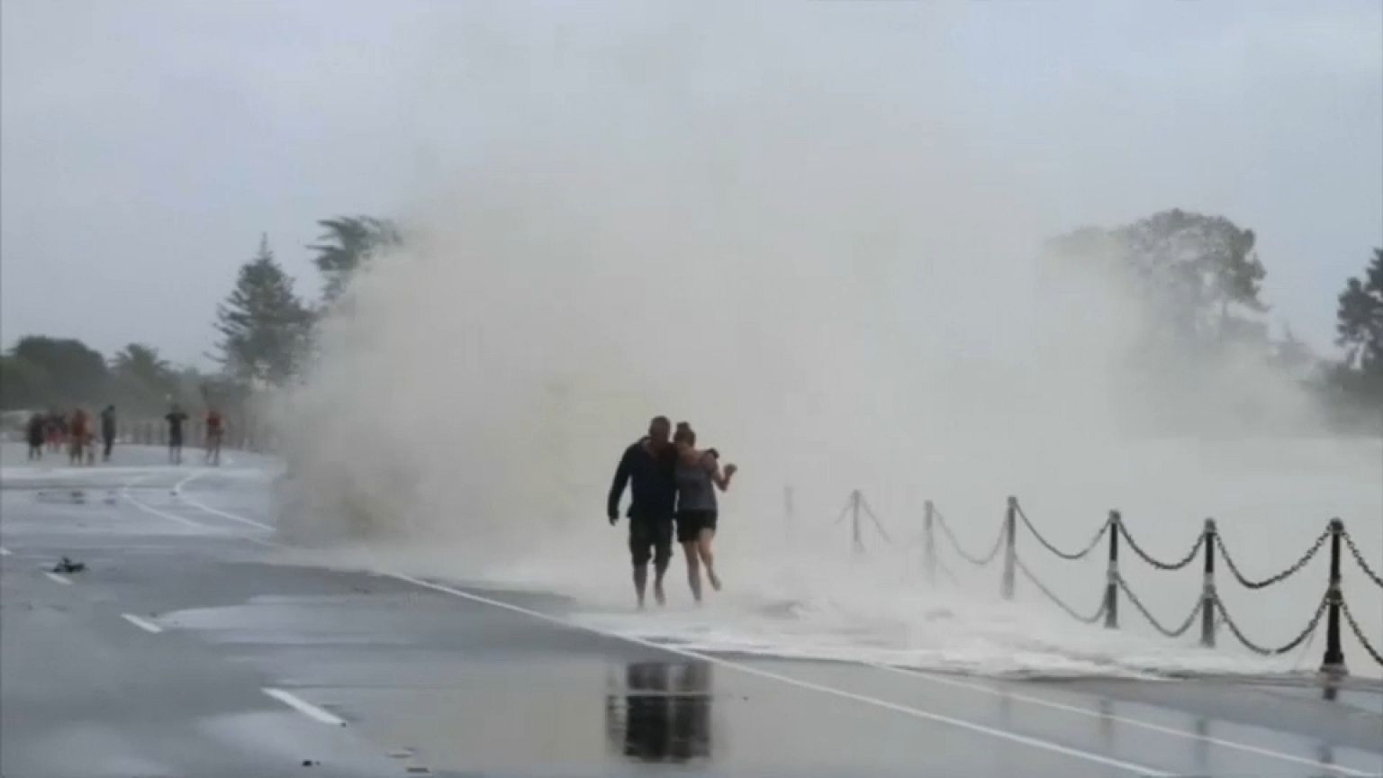 Storm Damage in New Zealand