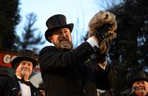« Jour de la Marmotte » à Punxsutawney